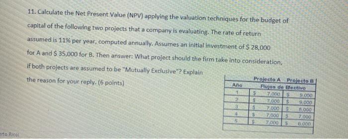  11. Calculate the Net Present Value (NPV) applying the valuation techniques