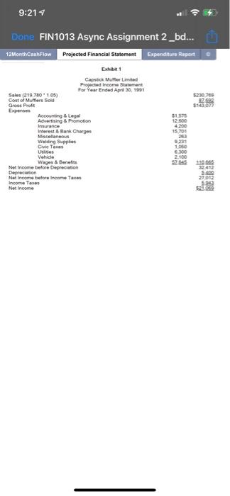 0 0 0 12 MonthCashFlow Projected Financial Statement Expenditure Report Capstick Muffler