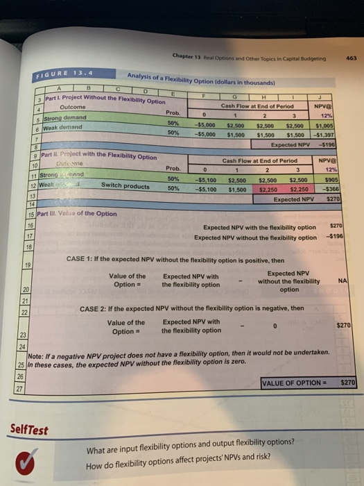 Please answer parts 1-3 please Chapter 13 Real Options and Other Topics