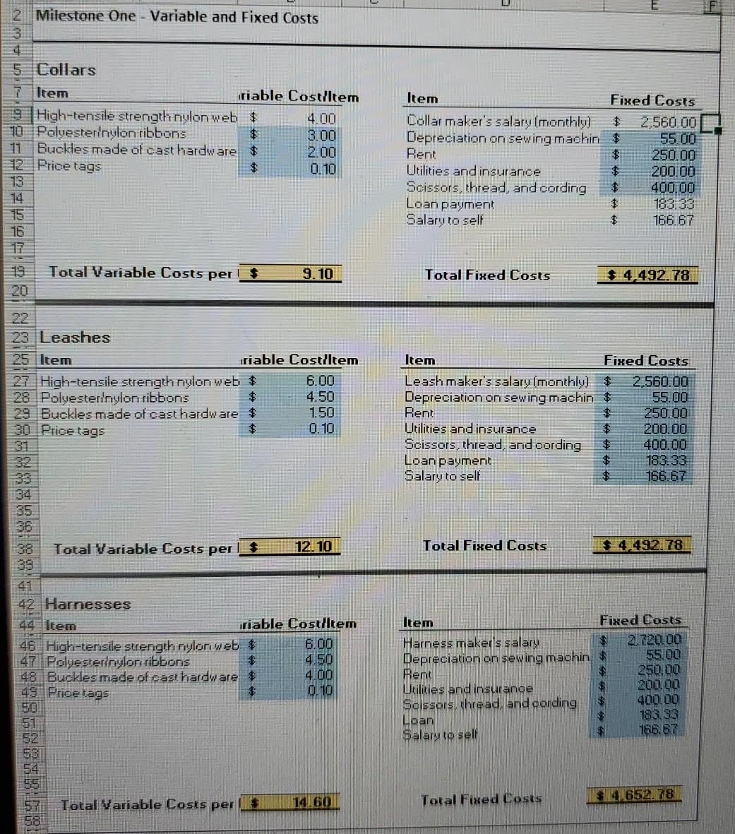 for manufacturing pet collars, leashes, and harnesses. You have found a workshop