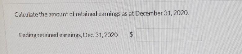 Shares Sales Revenue Retained Earnings (at January 1, 2020) Cost of Goods
