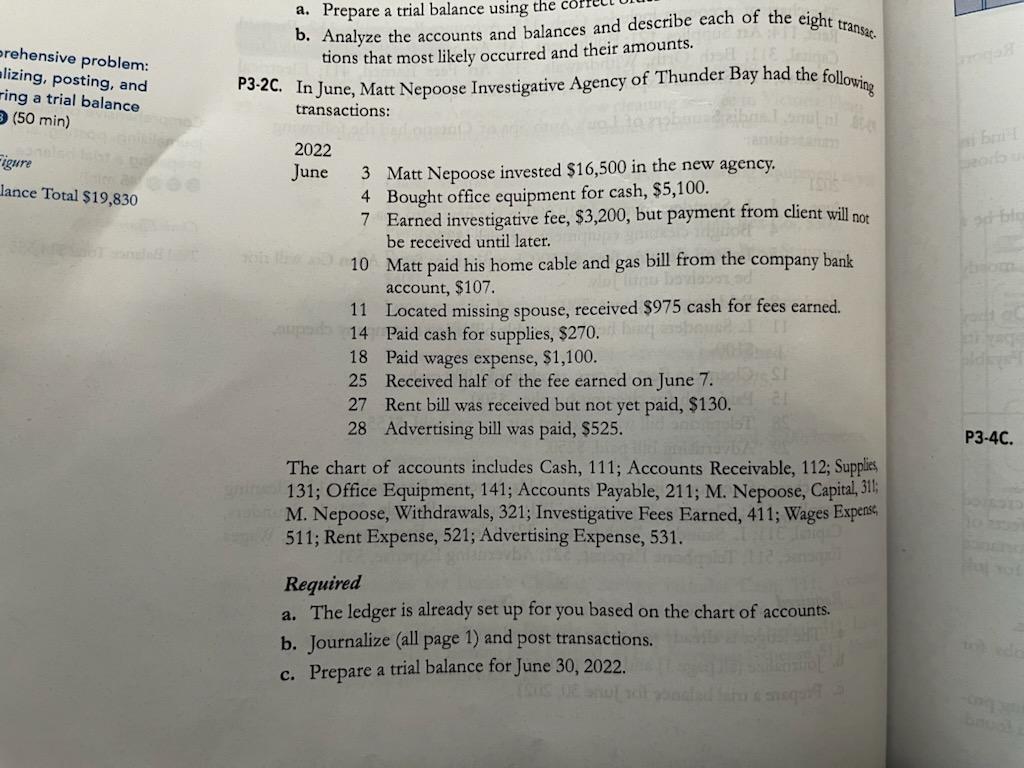 Must Include Ledgers prehensive problem: alizing, posting, and ring a trial balance