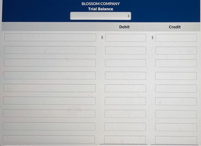 you! From the ledger balances below, prepare a trial balance for Blossom