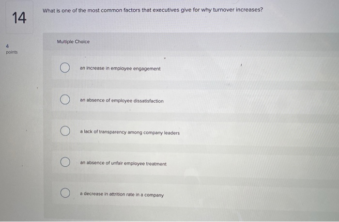 13 Multiple Choice 4 points It serves as an internal document, which