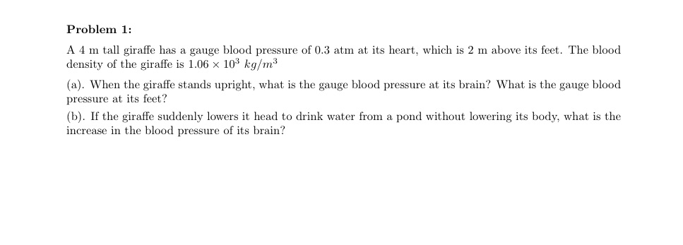 Please show all of the work Problem 1: A 4 m tall
