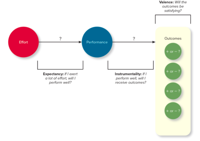 characteristics based on the five components of the job characteristics theory. How