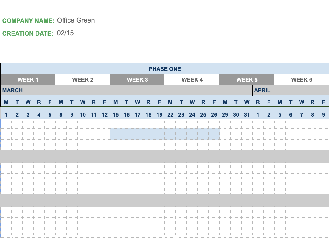 develop and implement an Operations and Training plan for the new service.As