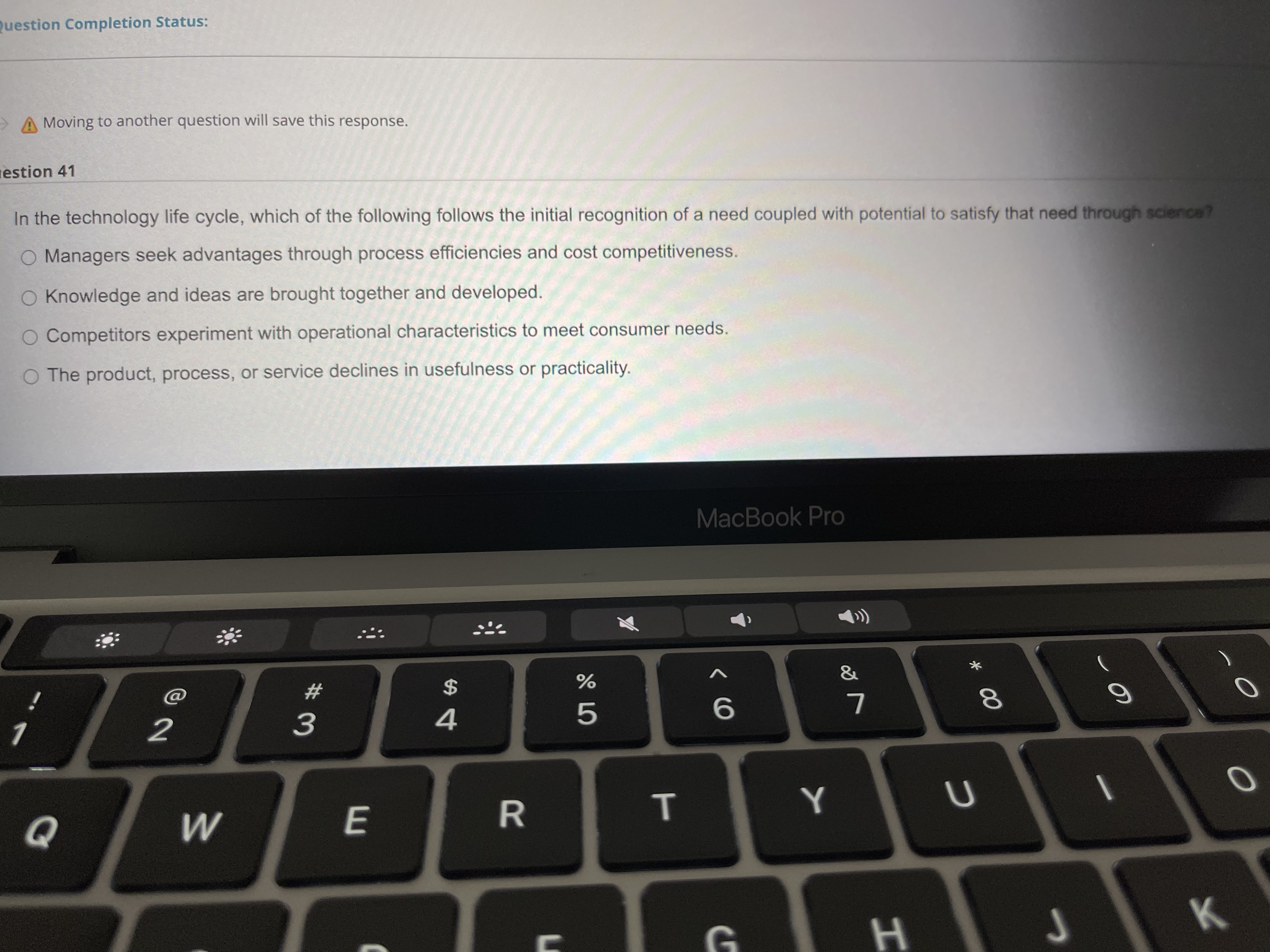 of the following is an advantage of technology leadership? There is little