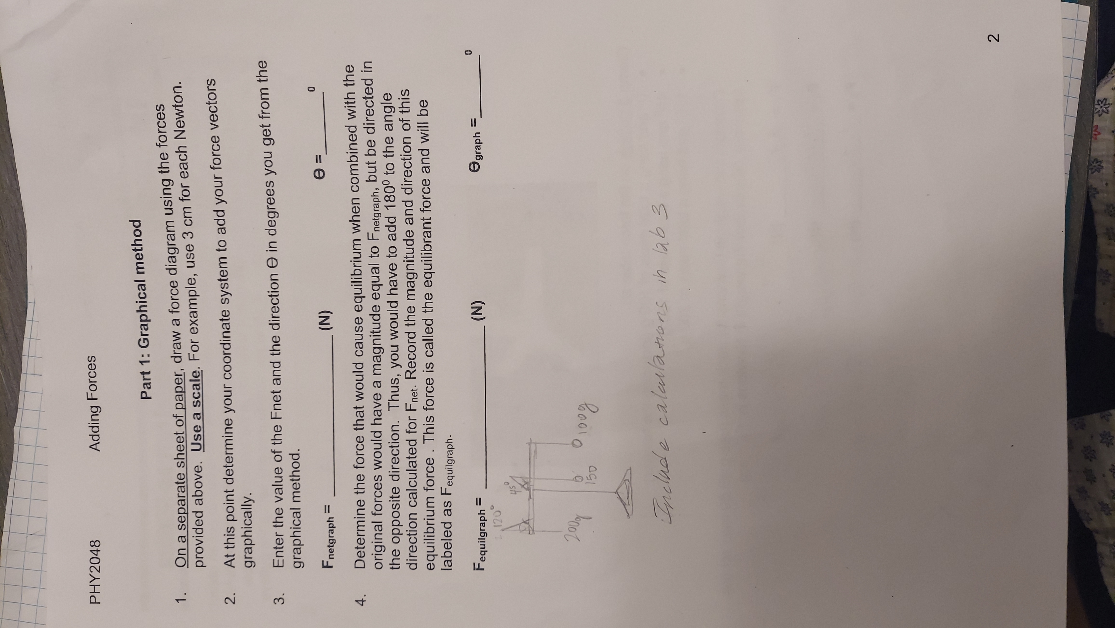 in equilibrium. This will be done mathematically and then tested experimentally. The