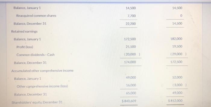 provided the following schedule detailing the changes in the shareholders' equity accounts