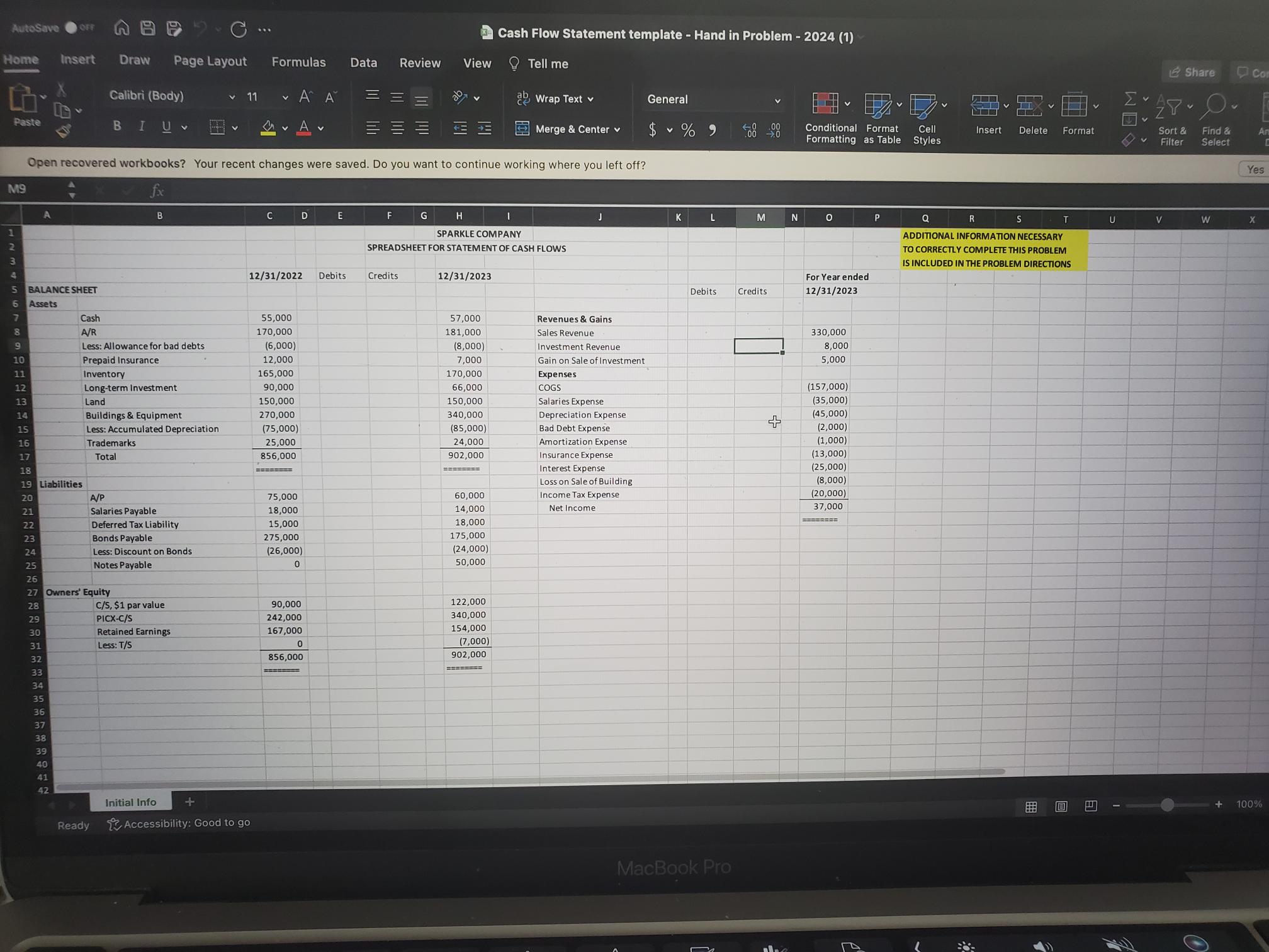  Using the financial statements in the Excel spreadsheet and the additional