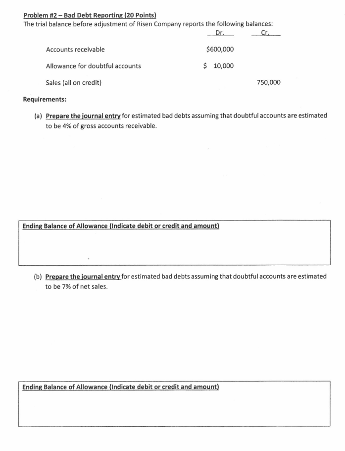 Problem #2 - Bad Debt Reporting (20 Points) The trial balance