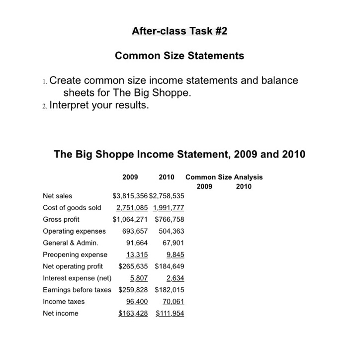  After-class Task #2 Common Size Statements 1. Create common size income