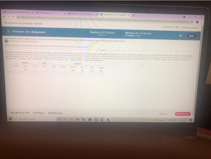  + 101.1 Accounting Princesa 2001 Homework: Ch 1 Assignment Question. EF