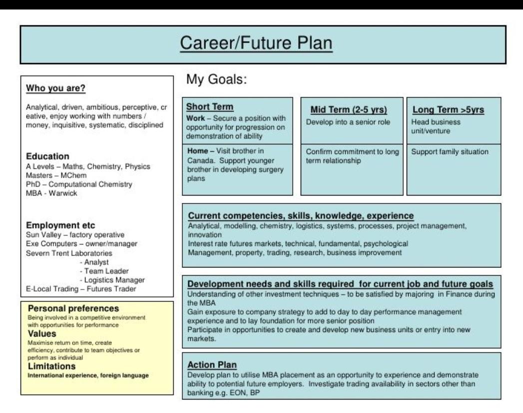 Career/Future Plan Who you are? Analytical, driven. artlbtiOuS, perceptive. Cr eative, enjoy