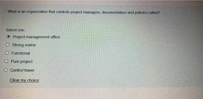  What is an organization that controls project managers, documentation and policies