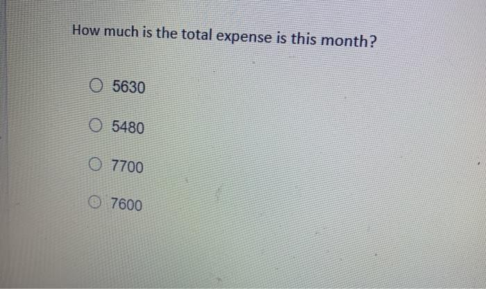 Aster is organized as a sole proprietorship and will provide consulting services,