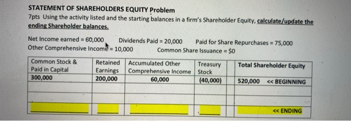  STATEMENT OF SHAREHOLDERS EQUITY Problem 7pts Using the activity listed and