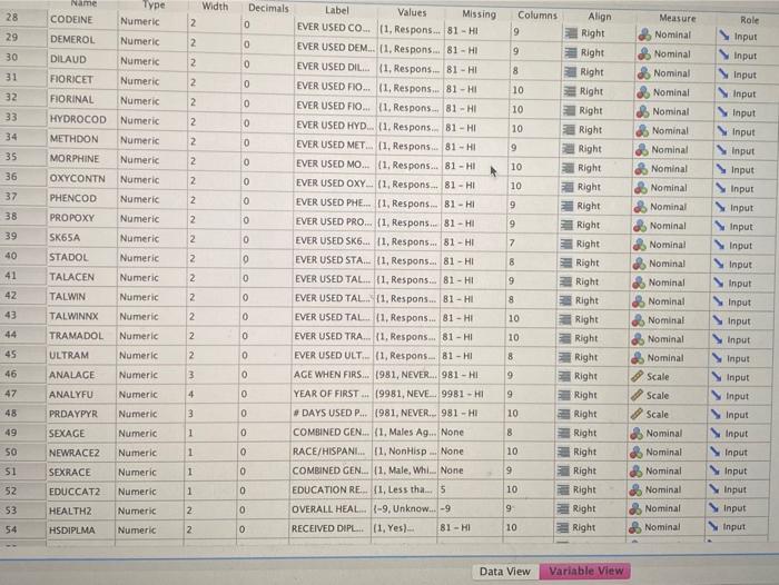 - BM SPSS Statistics Data Editor Q Name CASEID Wich 5 Rolle