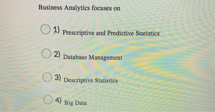 Business Analytics focuses on 01) Prescriptive and Predictive Statistics C) 2) Database