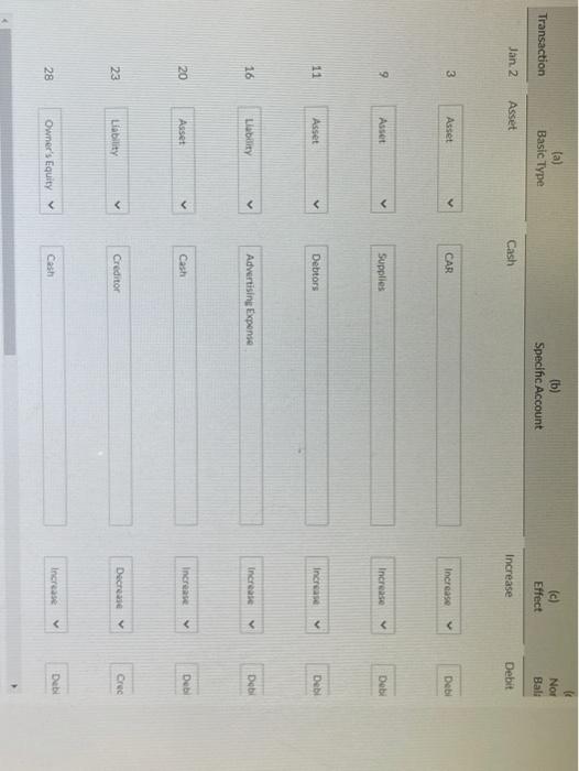 for M. Aconta, an interior decorator, in her first month of business