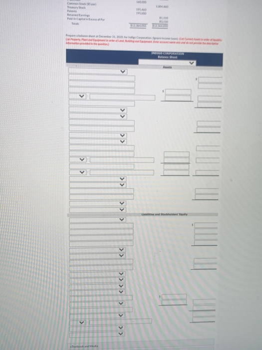 indigo Corporation at December 31, 2020 Credit Debit $ 200.110 $8,104460 157460
