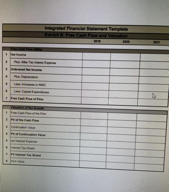 sheet and Income Statement projections for a specific company. The company is