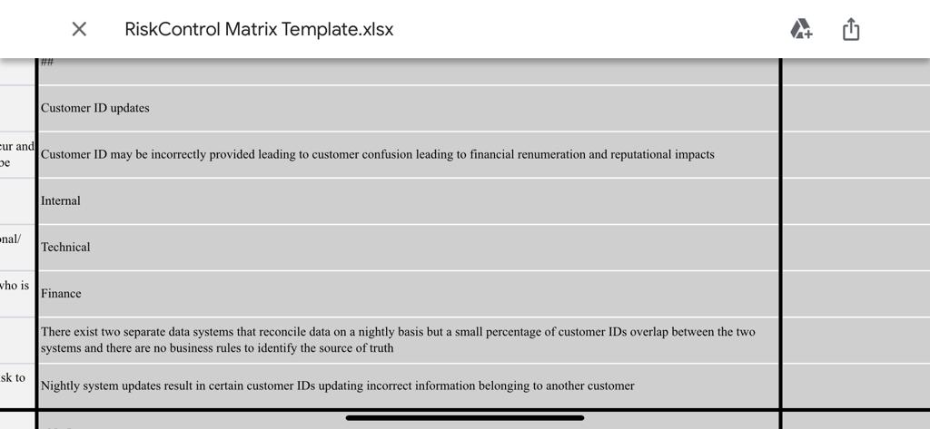 Risk Control Matrix Template.xlsx Customer ID updates cur and Customer ID