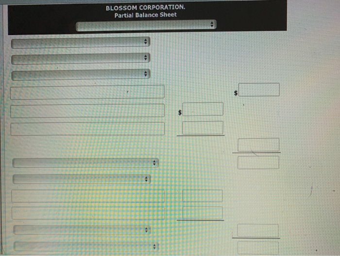 post-closing trial balance of Blossom Corporation at December 31, 2020, contains the