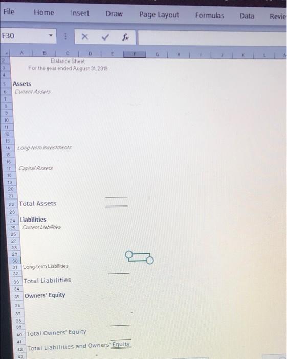 3 Use the trial balance data to create an Income Statement and
