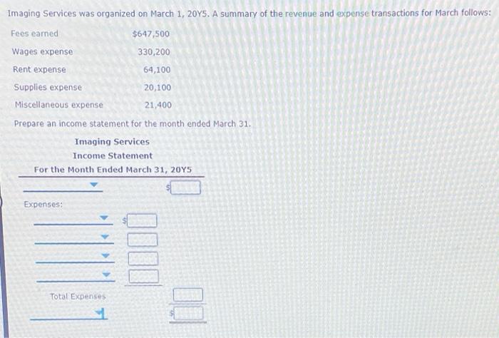  Imaging Services was organized on March 1, 2045. A summary of