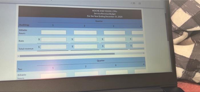 Roche and Young, CPAs, are preparing their service revenue (sales) bucupet for