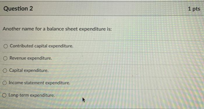  Question 2 1 pts Another name for a balance sheet expenditure