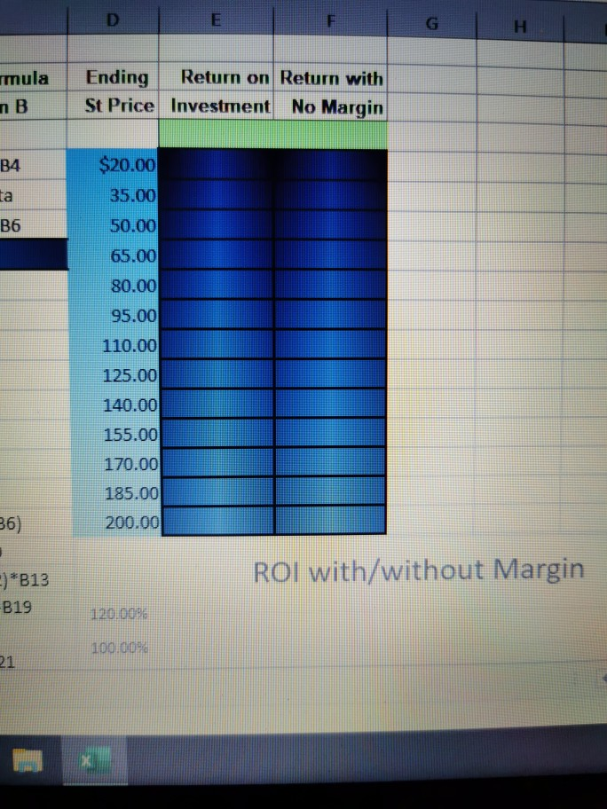 Initial Equity Investment Amount Borrowed Initial Stock Price Shares Purchased Ending Stock