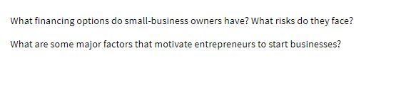  What financing options do small-business owners have? What risks do they