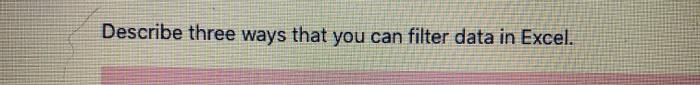 Describe three ways that you can filter data in Excel.