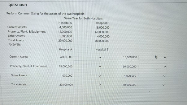 explain how to do it please QUESTION 1 Perform Common Sizing