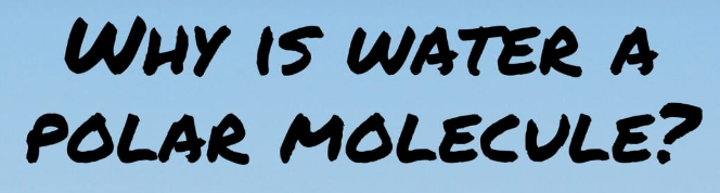 Ww WATEQ A MOLECULE?