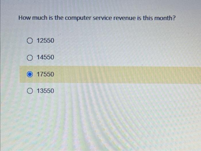 organized as a sole proprietorship and will provide consulting services, computer system