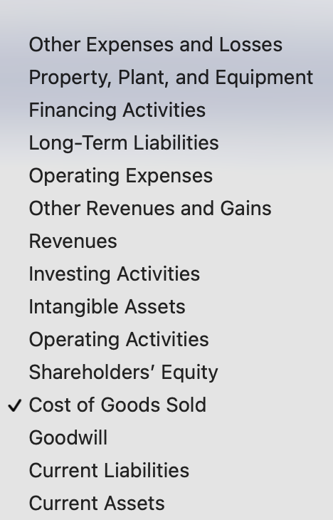 statement of cash flows) and in which section (for example, property, plant,