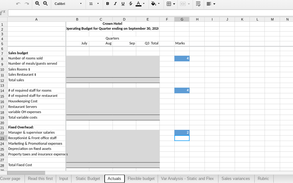 7 You will prepare various budgets, conduct a variance analysis and write