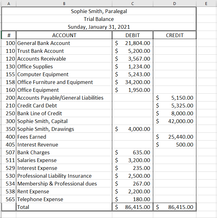 1.Prepare the Income Statement using the Trial Balance (MAKE SURE ALL ACCOUNTS