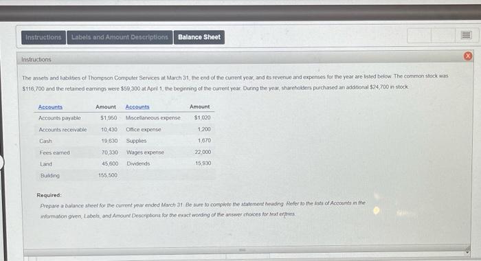 help Instructions Labels and Amount Descriptions Balance Sheet Instructions The assets and