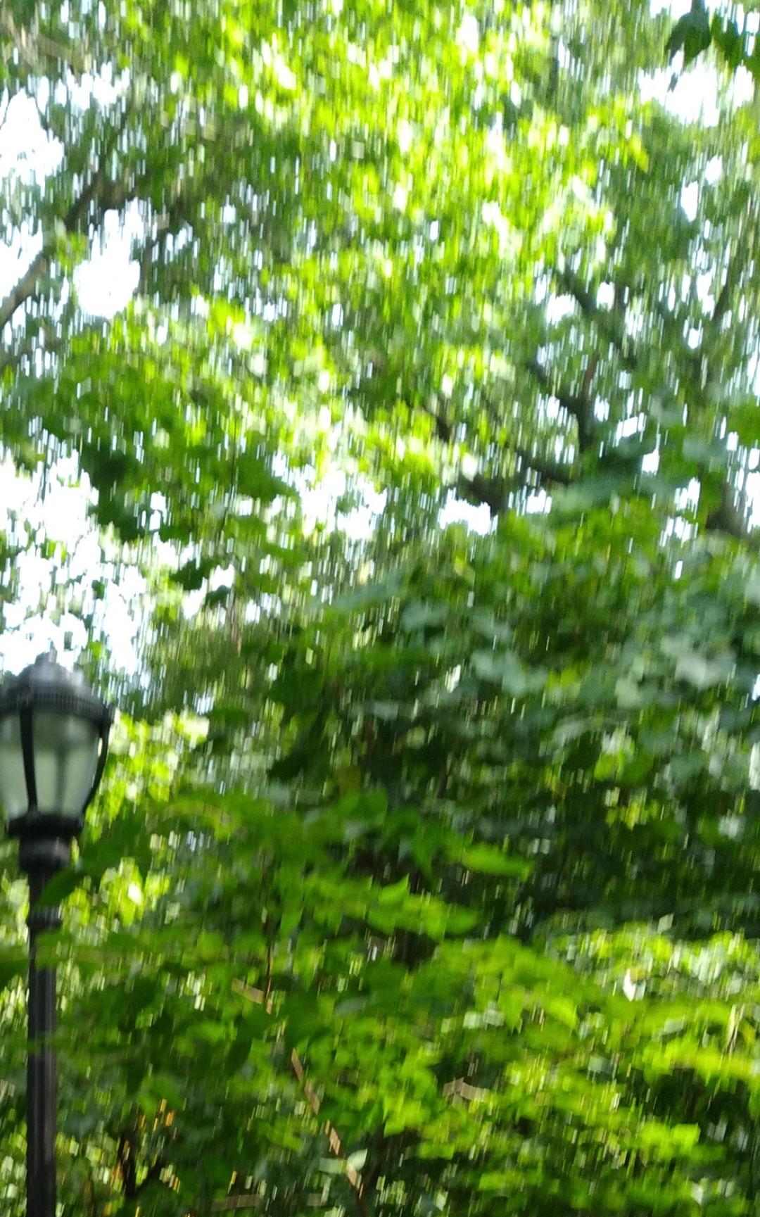 goals and do you believe that your education at Berkeley College will