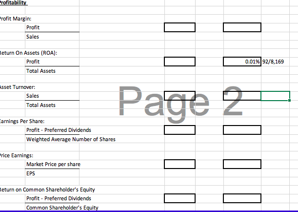 Profitability Profit Margin: Profit Sales Return On Assets (ROA): Profit 0.01%