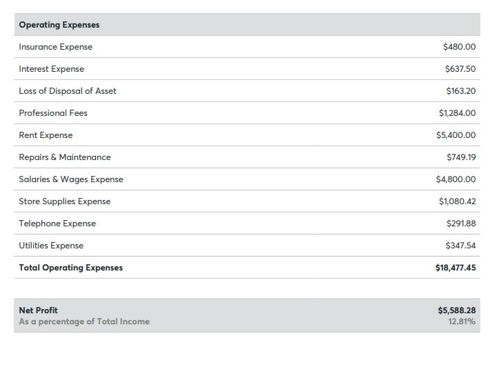 What is net income for March 1 - March 31, 2007? -$2,718.66