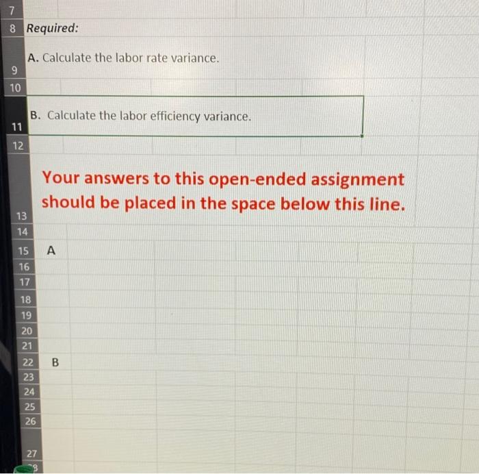 assignment viewed as a PDF and opened in Excel. Please type/write any