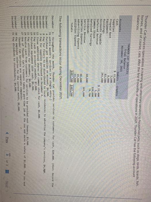  Thunder Cat Services specializes in training and veterinary services to household