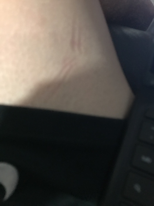 of information. Indicate whether each of the following items would appear on