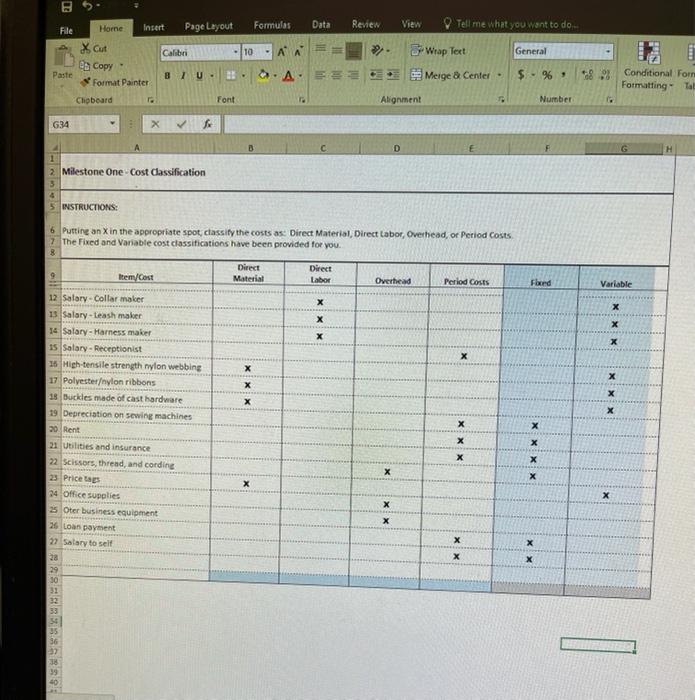 the course project, you will assume the role of the owner of